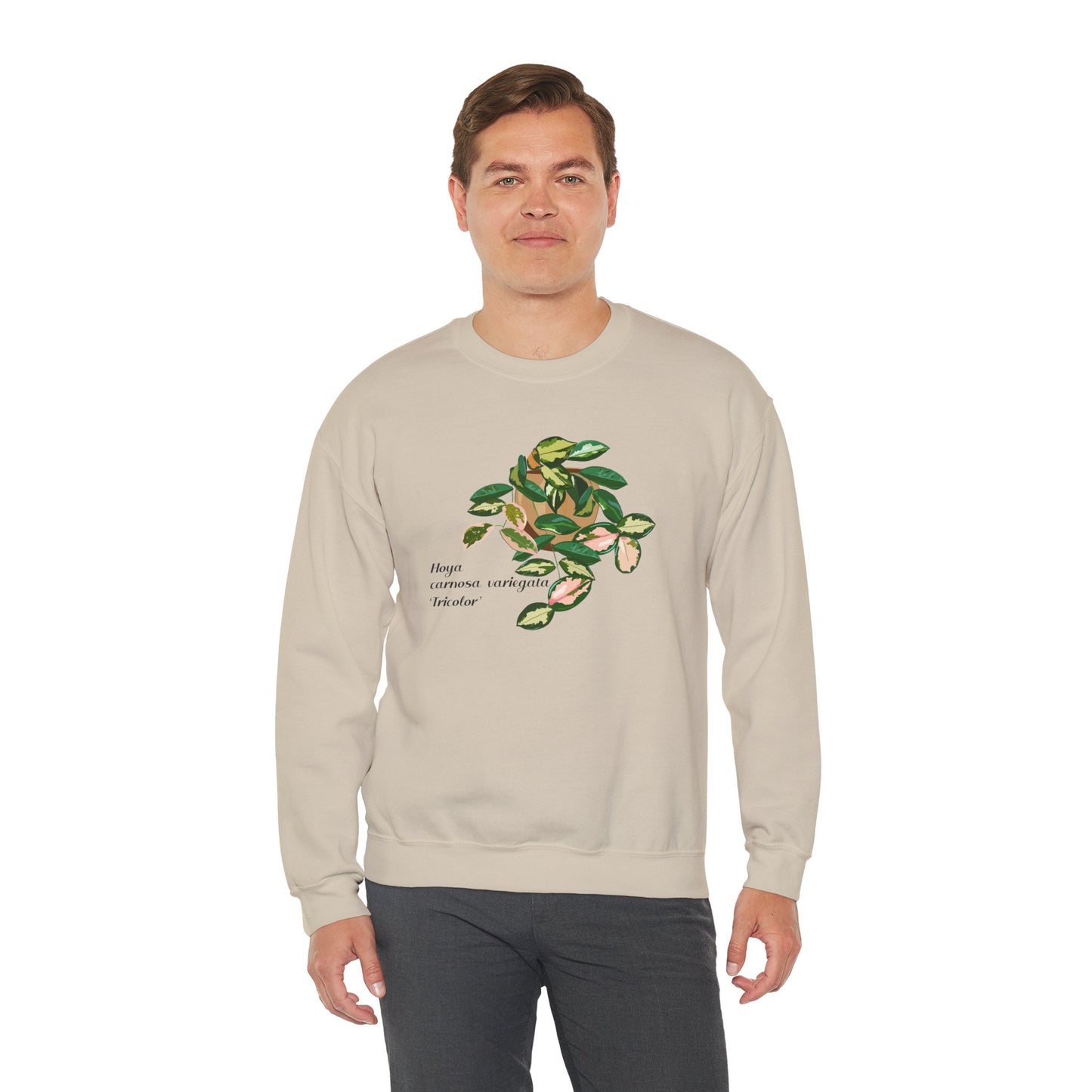 Hoya Carnosa Variegata Tricolor Plant Lover Crewneck Sweatshirt - Beige