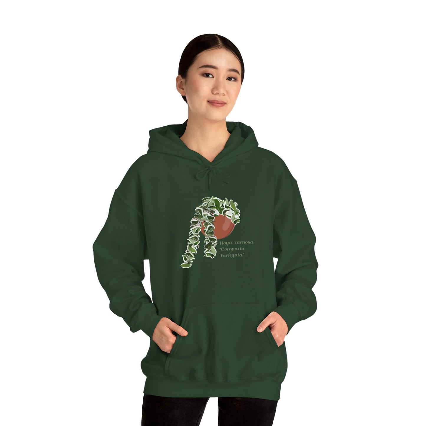 Hoya Carnosa 'Compacta Variegata' Hindu Rope Hoodie
