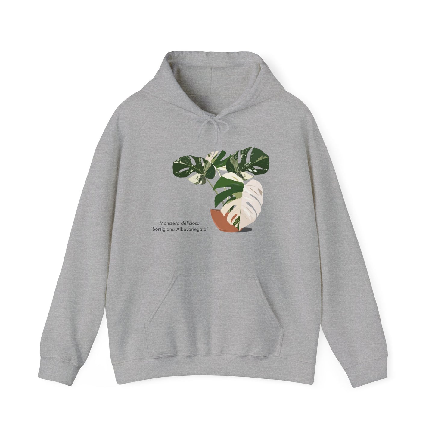 Monstera Deliciosa Borsigiana Albovariegata Hoodie - Grey