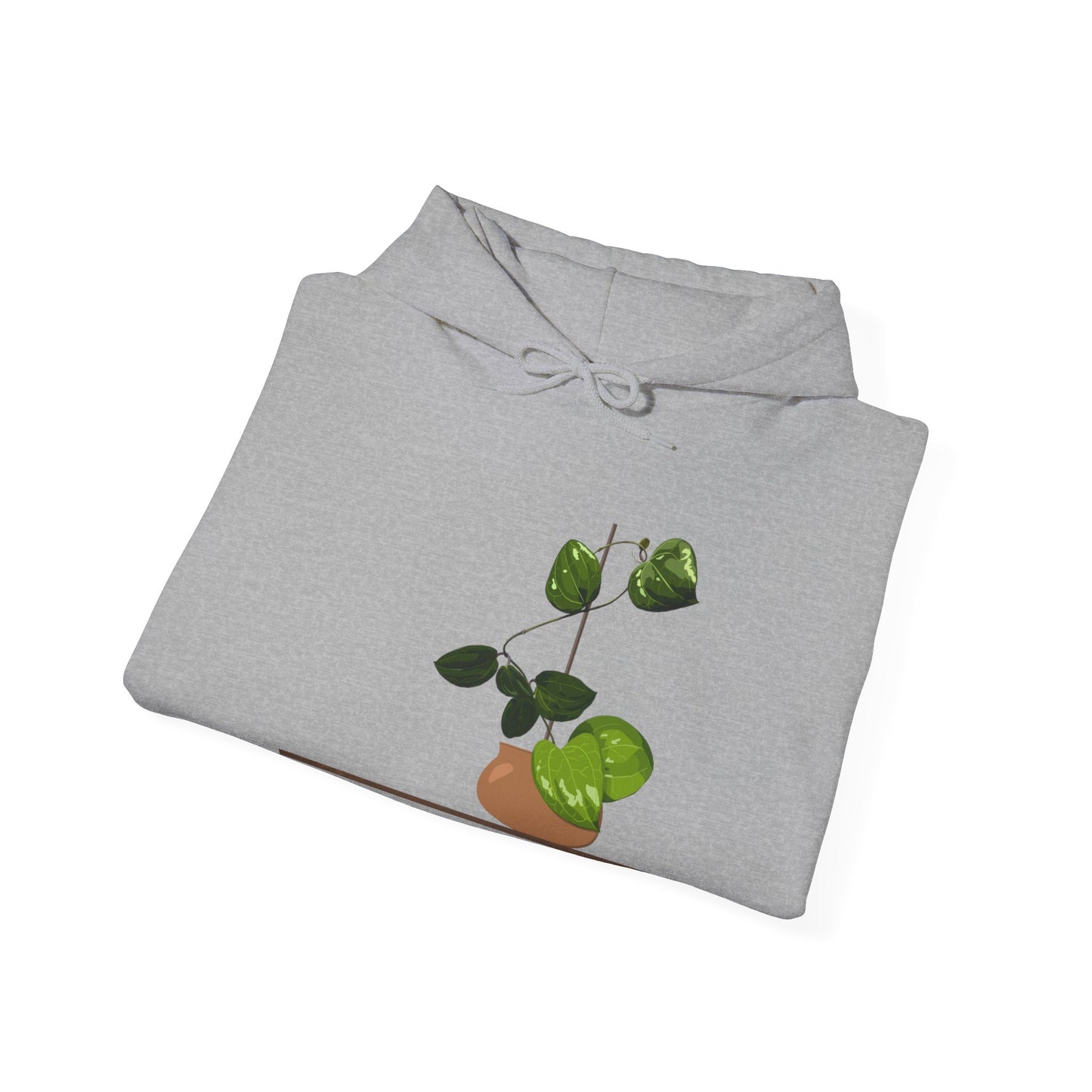 Hoya Latifolia Plant Hoodie - Grey