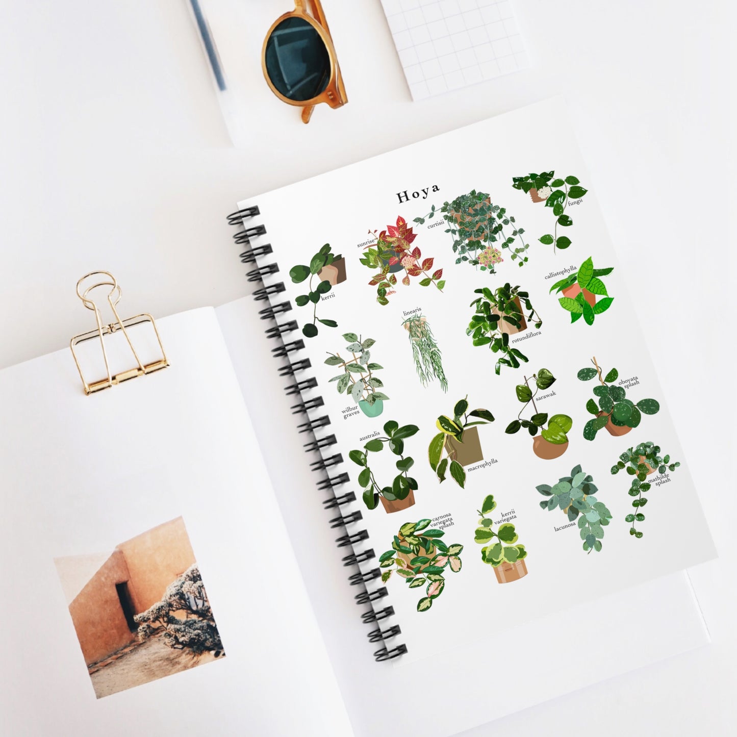 Hoya Chart spiral notebook with ruled line paper. Great for writing down plant wish list, new ideas, to do list, shopping list and journal. Perfect gift for plant lovers.