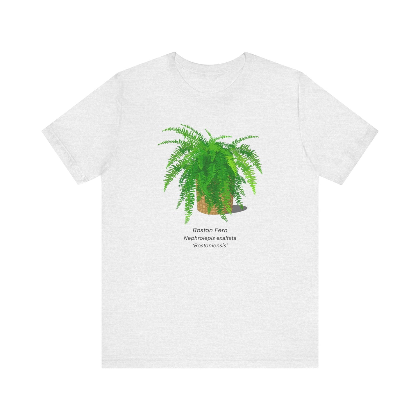 Boston Fern Plant Lover T-Shirt - Ash