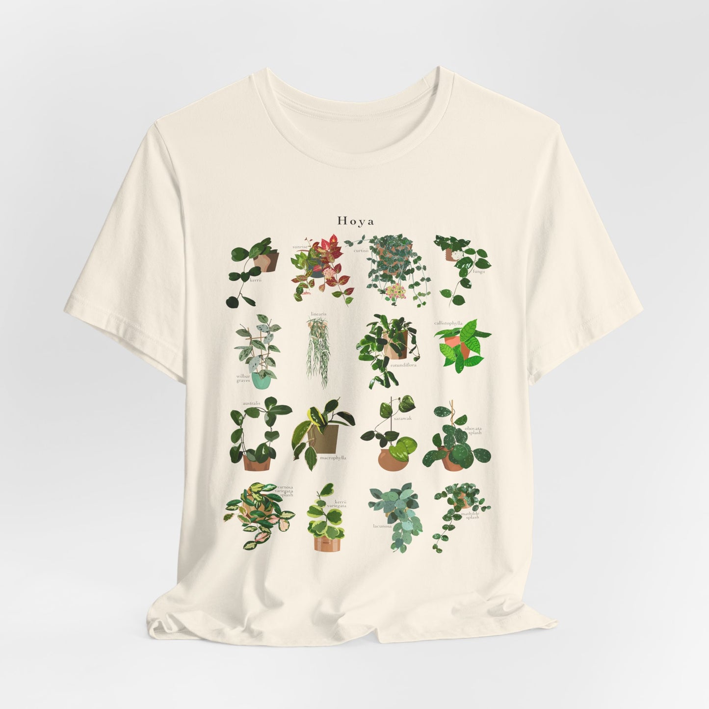 Hoya Chart T-Shirt for Plant Lovers - White, Natural