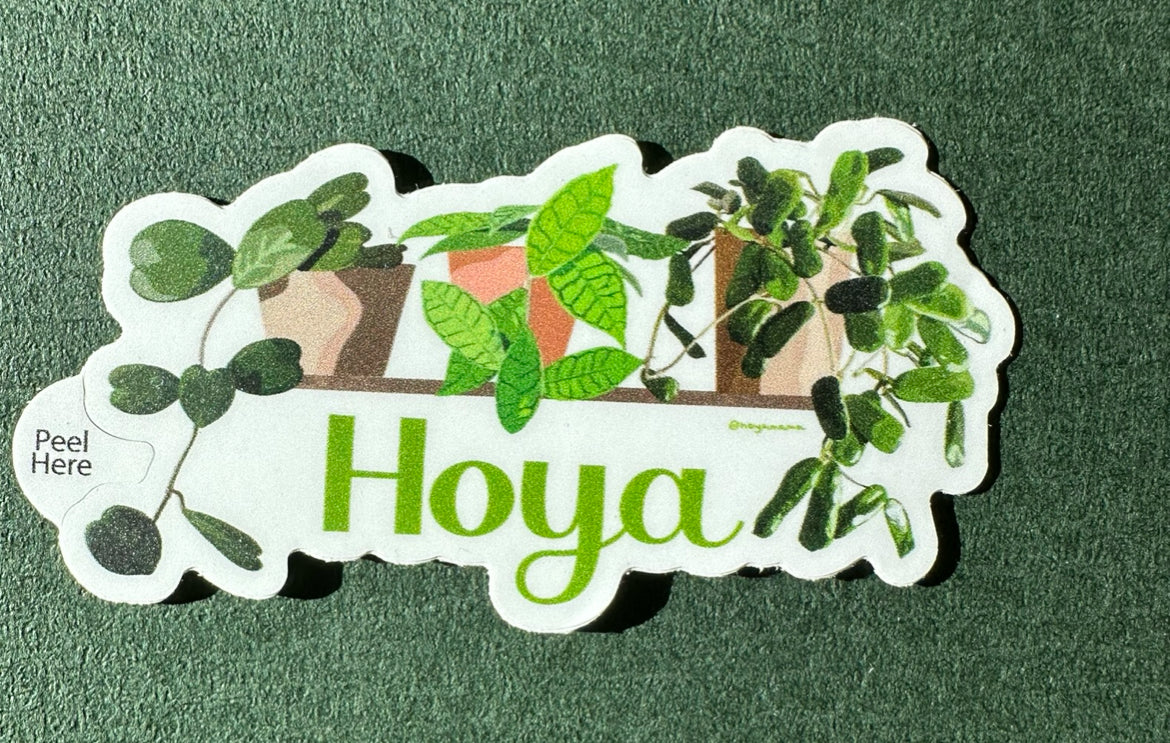 Hoya Kerrii, Callistophylla, Rotundiflora Plant Lover Sticker