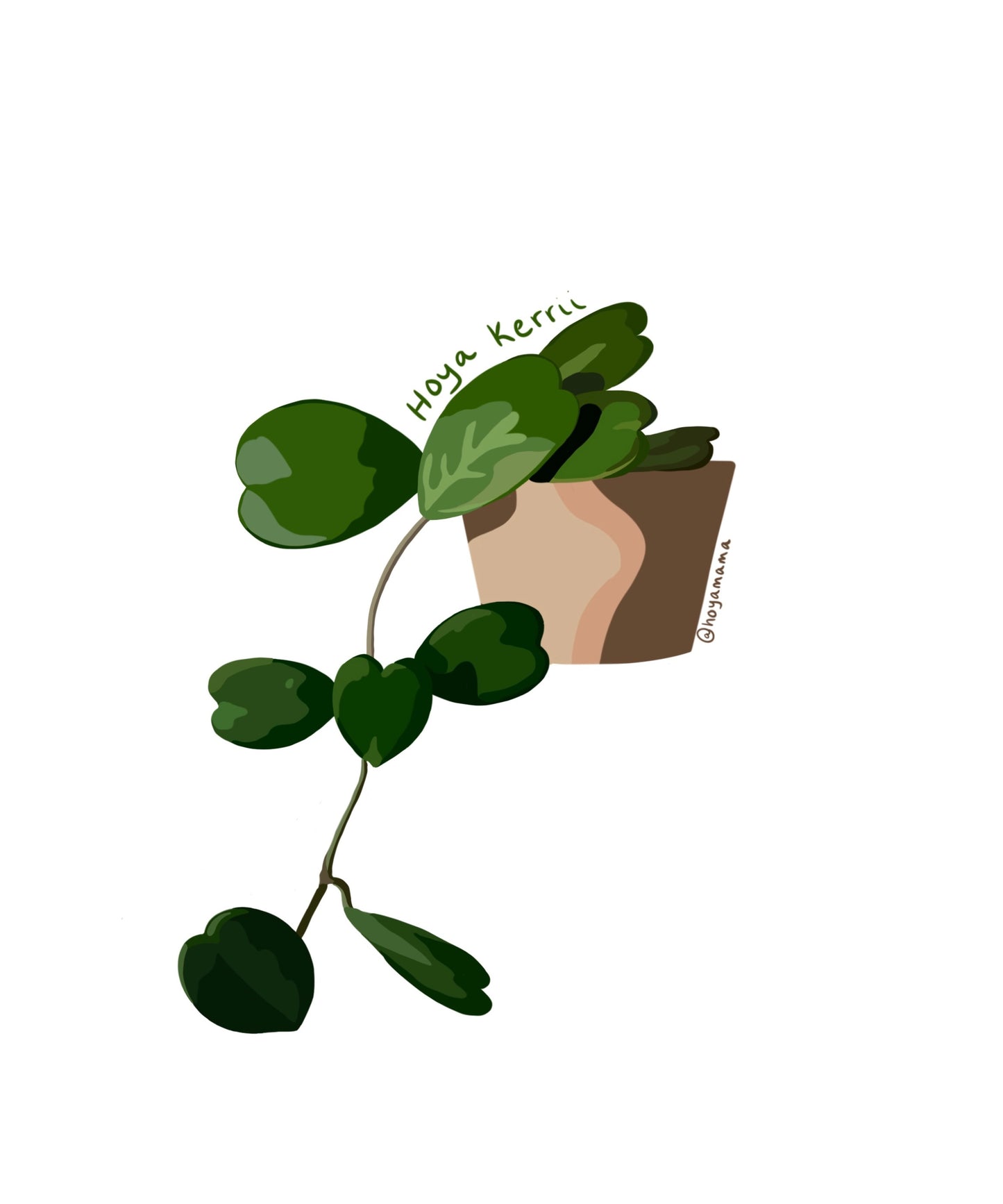 Hoya Kerrii Plant Lover Sticker