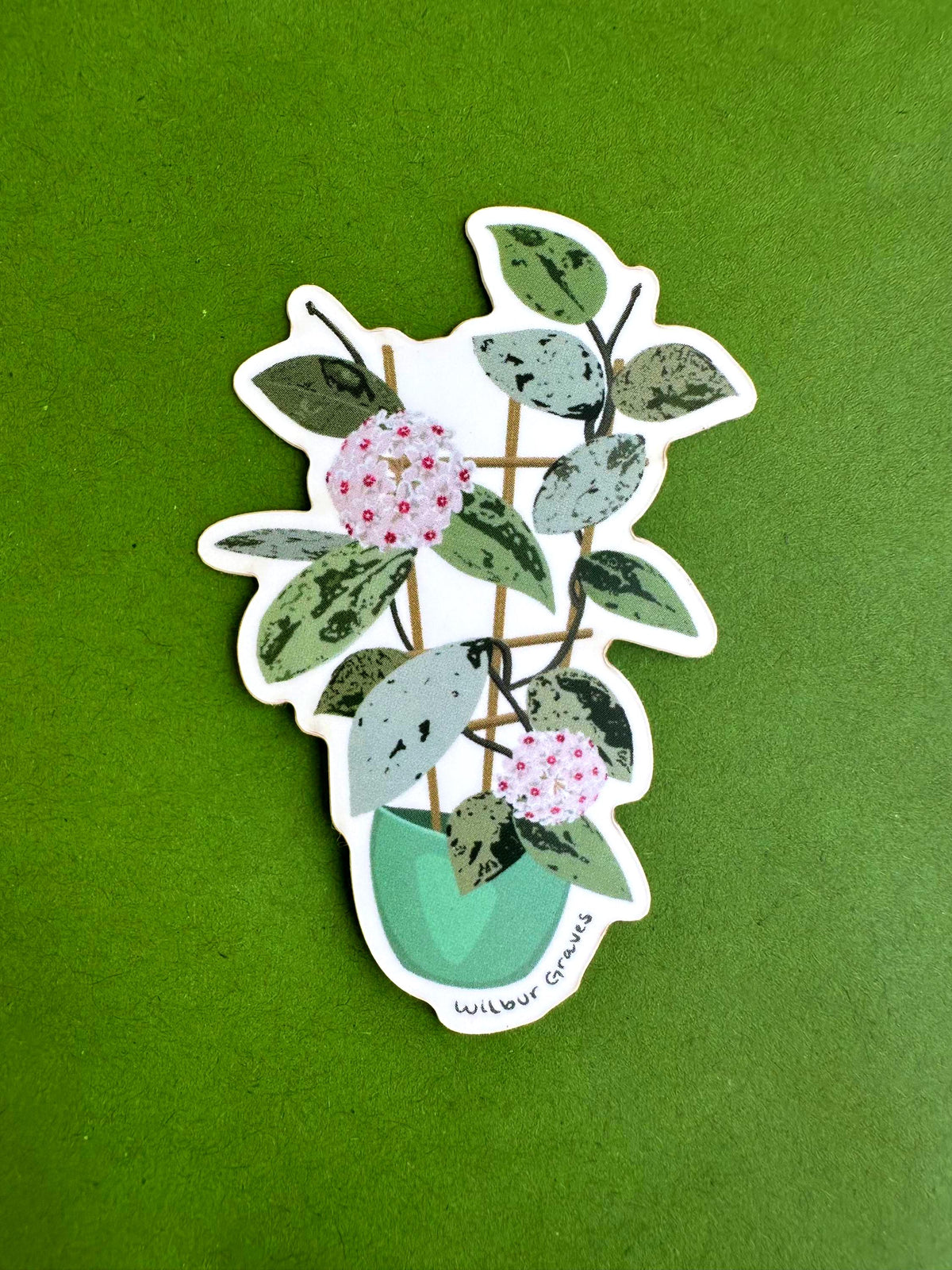 Hoya Wilbur Graves Plant Lover Sticker