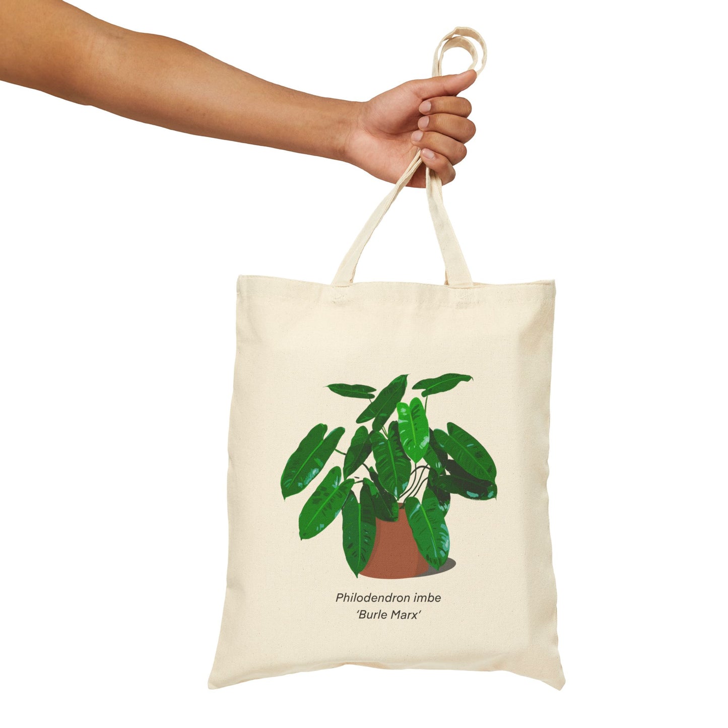 Philodendron Imbe 'Burle Marx' Canvas Tote Bag