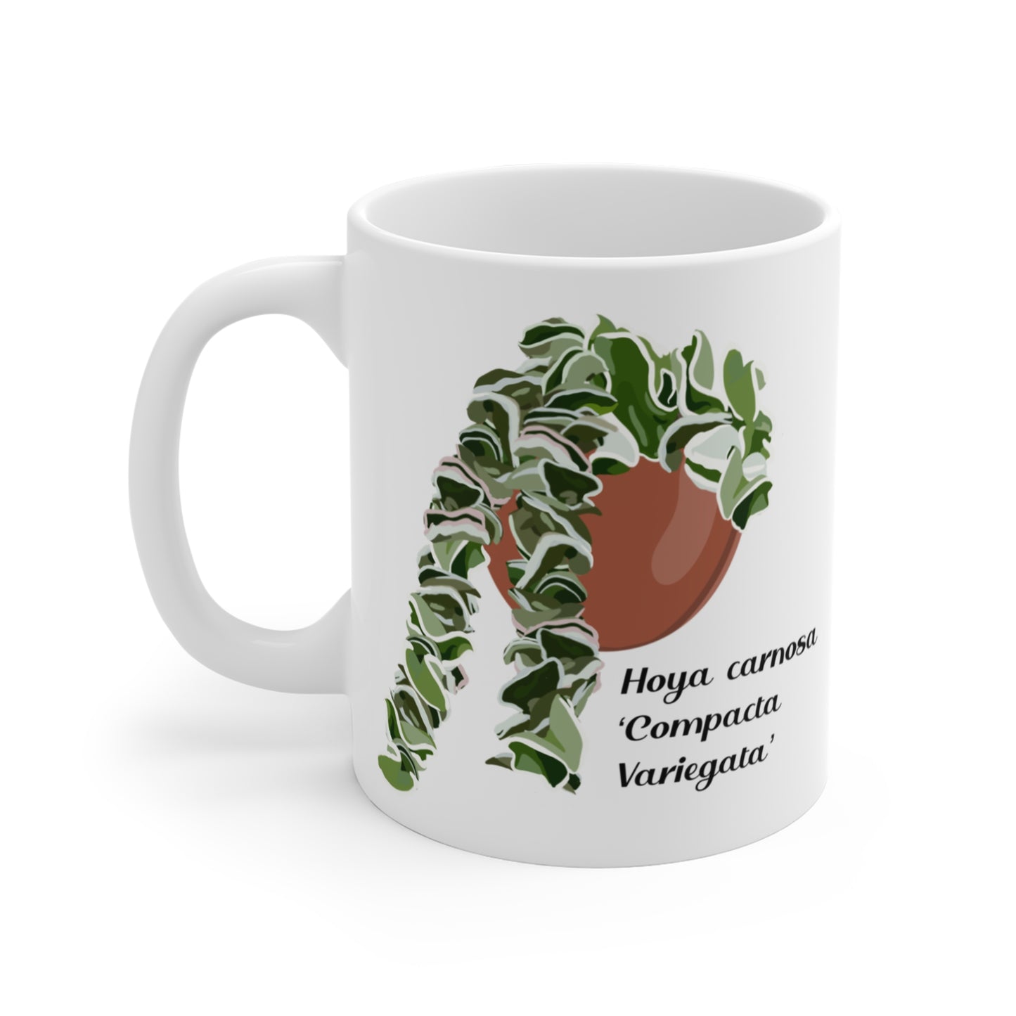 Hoya Carnosa Compacta Variegata coffee/tea mug. Original design of Hoya Hindu Rope mug. Great gift for plant lovers and Hoya lovers!