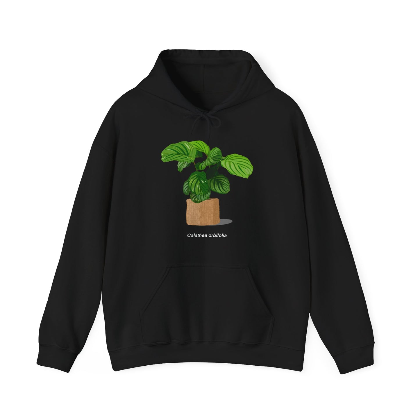 Calathea Orbifolia Plant Hoodie - Black