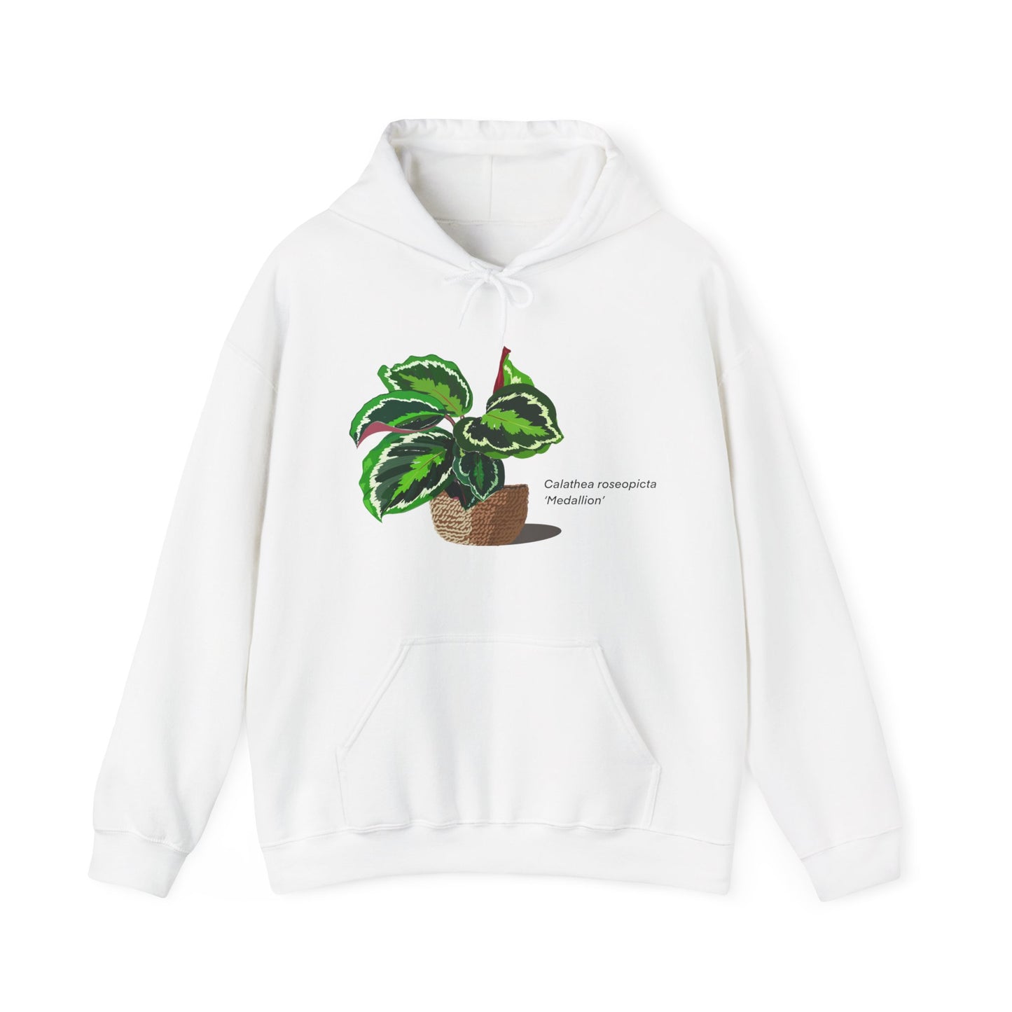 Calathea Roseopicta 'Medallion' Plant Hoodie - White