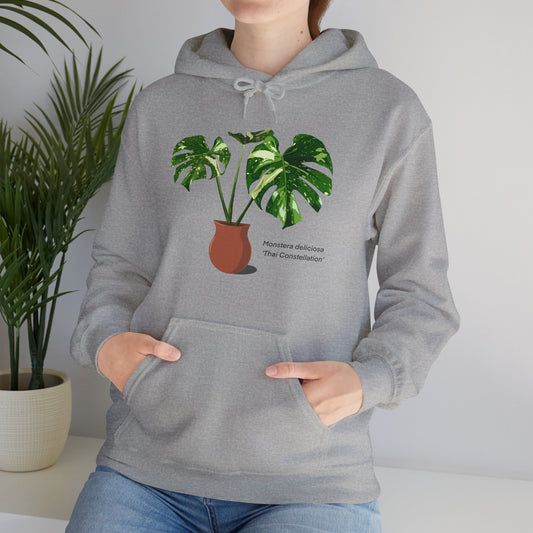 Monstera Deliciosa "Thai Constellation" Plant Hoodie - Grey