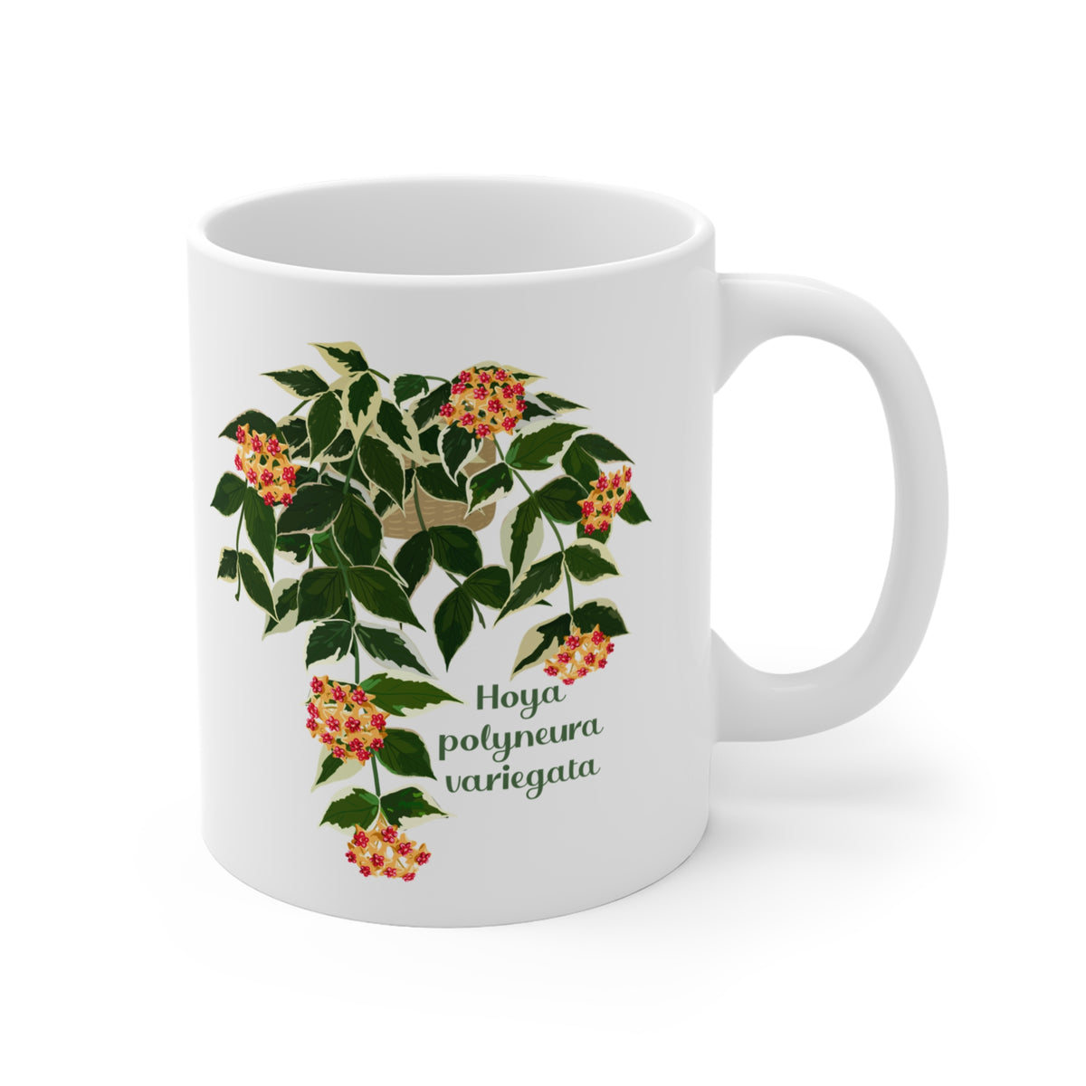 Blooming Hoya Polyneura Variegata Plant Lover Mug - White
