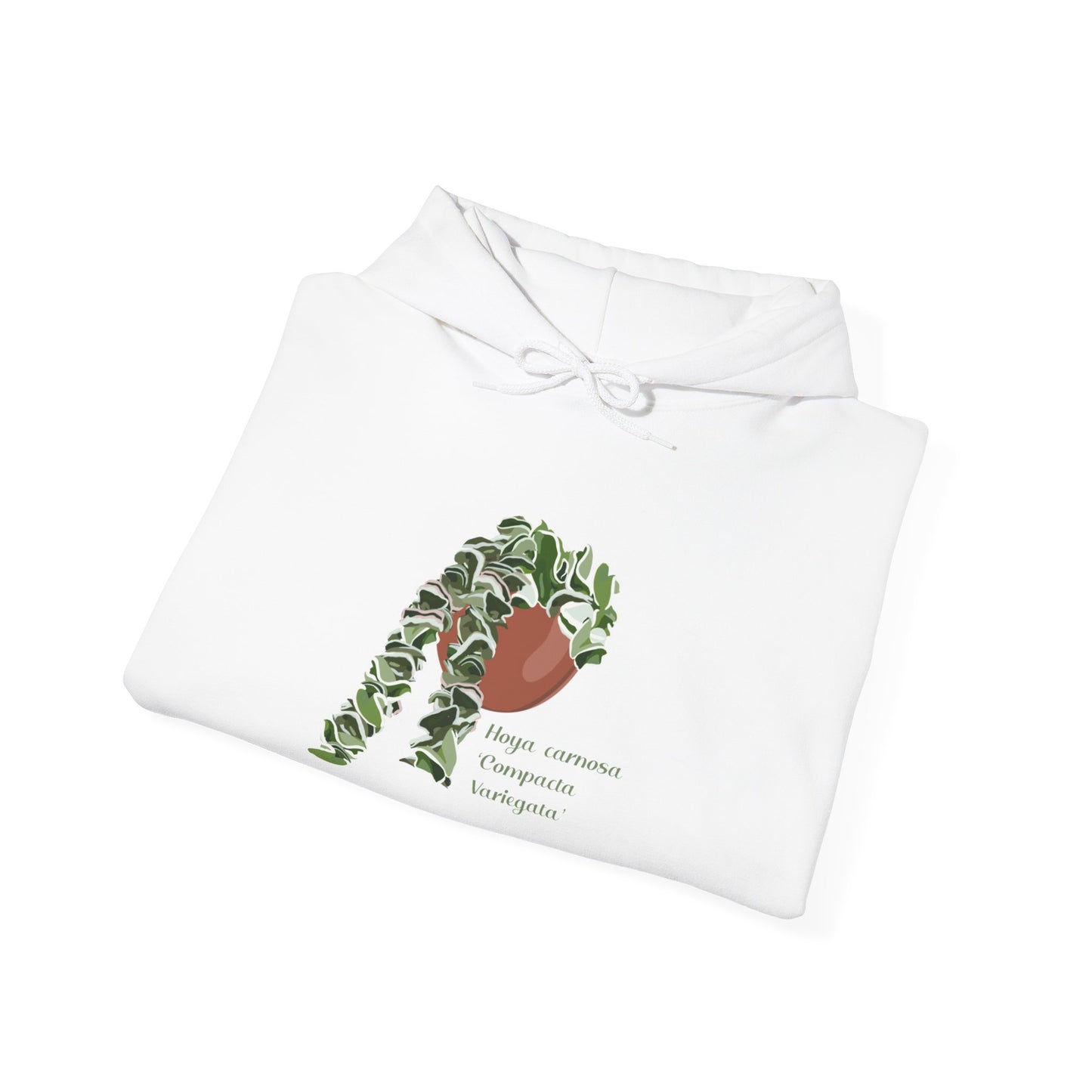 Hoya Carnosa 'Compacta Variegata' Hindu Rope Hoodie