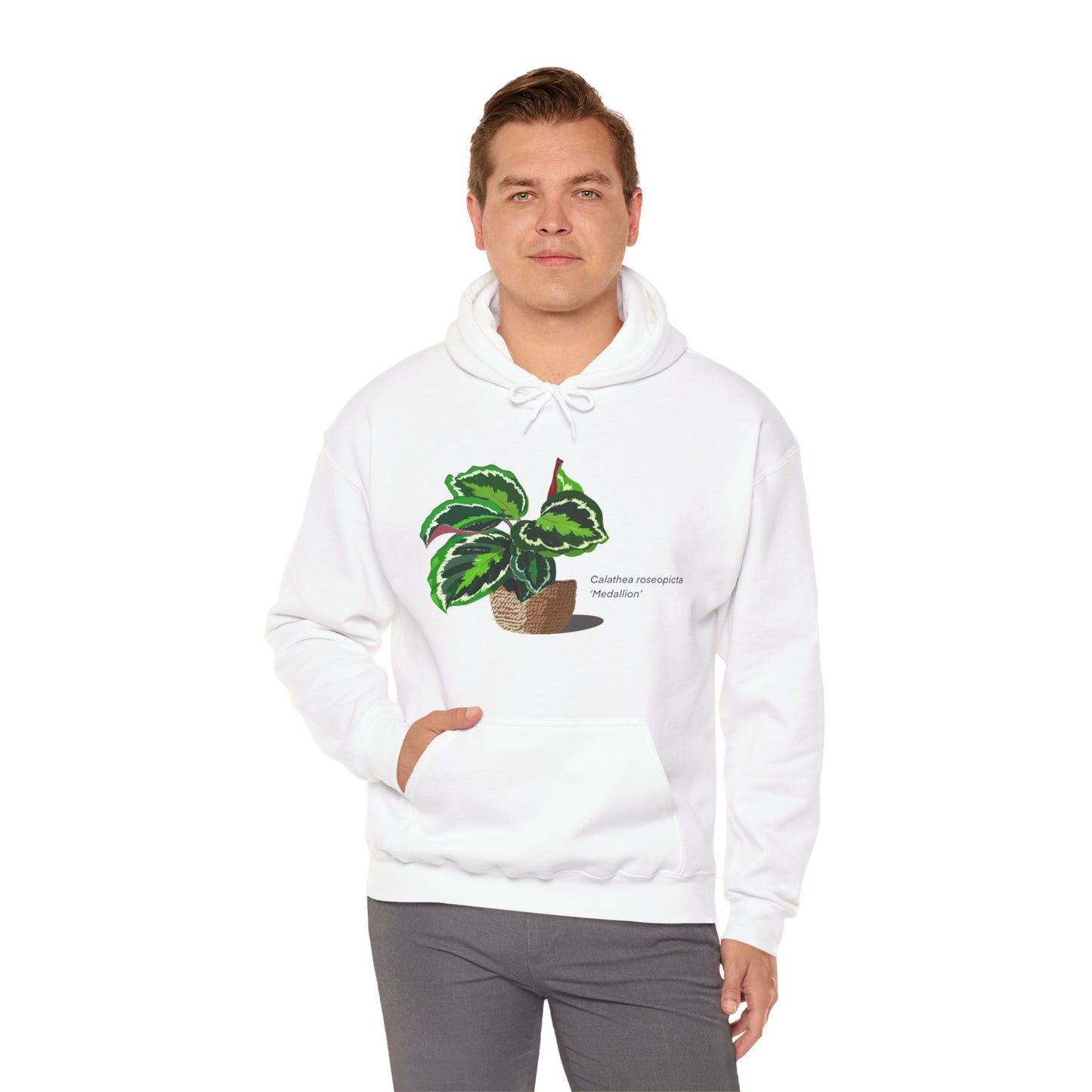 Calathea Roseopicta 'Medallion' Plant Hoodie - White