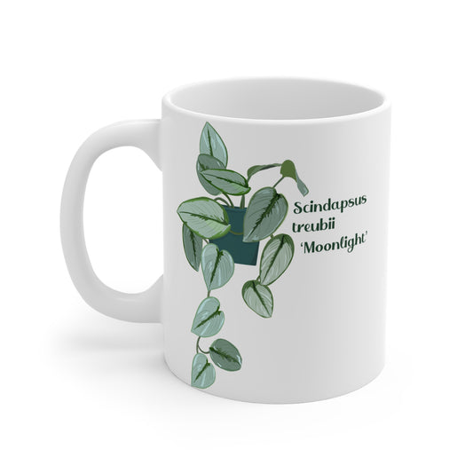 Scindapsus Treubii "Moonlight" Plant Lover Mug - White