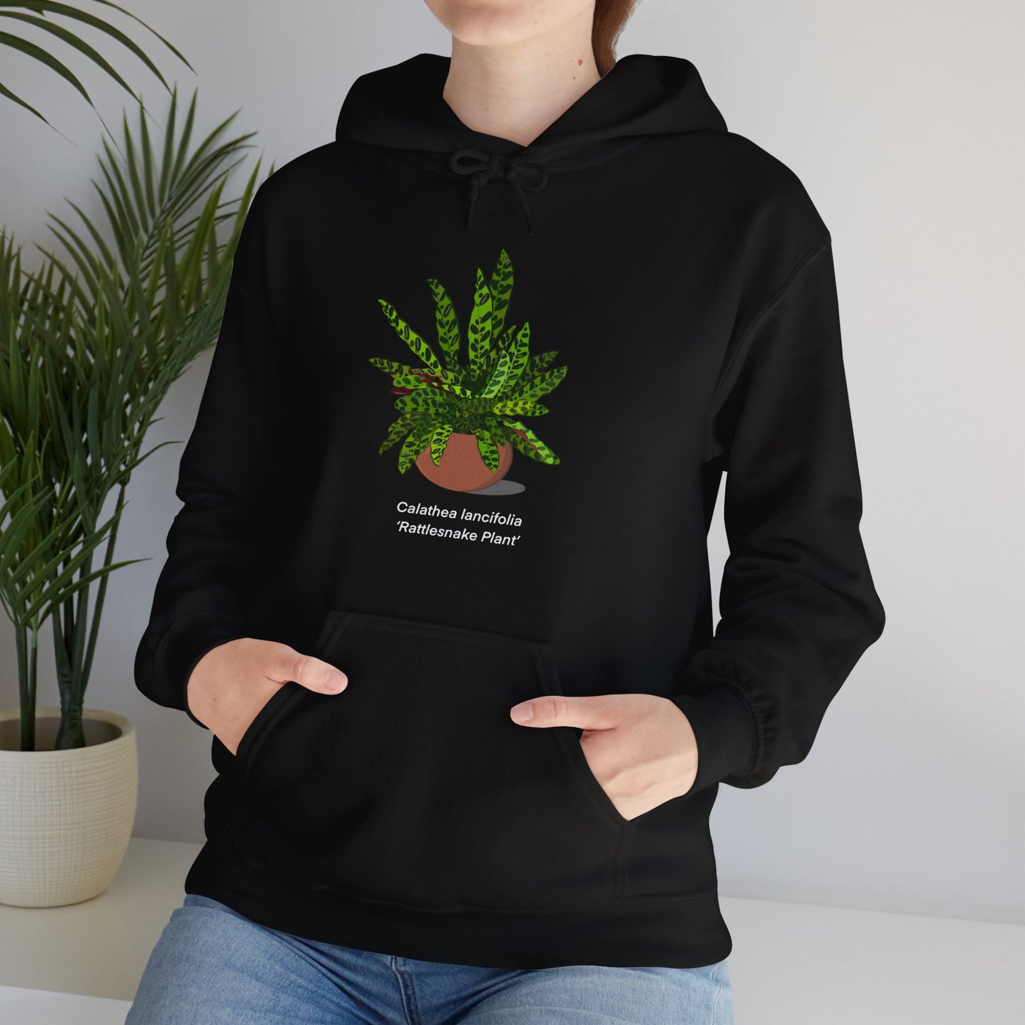 Calathea Lancifolia Rattlesnake Plant Hoodie - Black