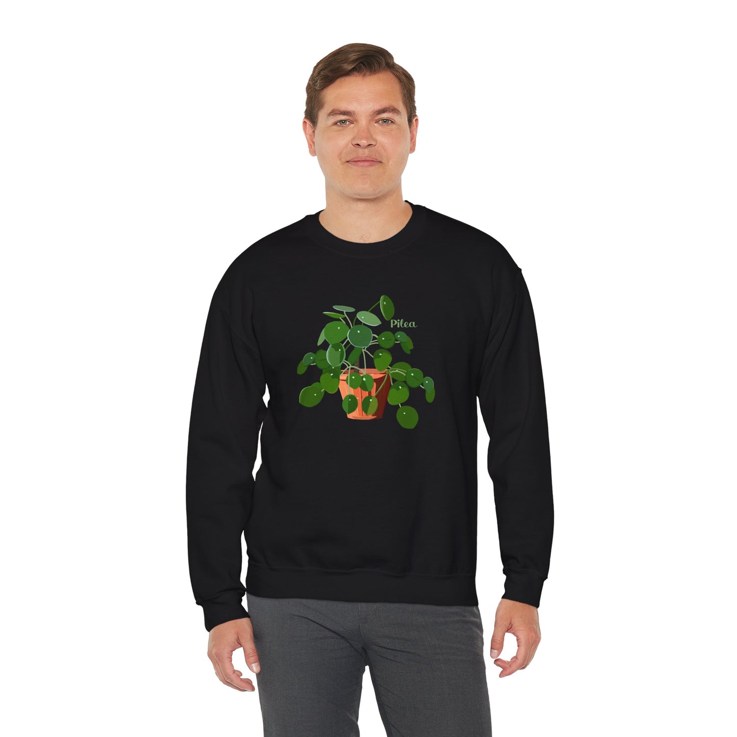 Pilea Peperomioides 'Chinese Money Plant' Plant Lover Crewneck Sweatshirt - Black