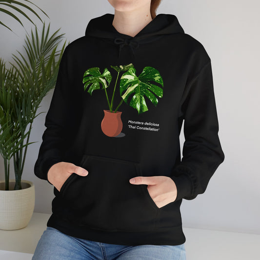 Monstera Deliciosa 'Thai Constellation' Plant Hoodie - Black