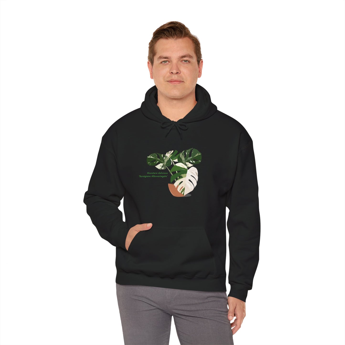 Monstera Deliciosa Borsigiana Albovariegata Hoodie