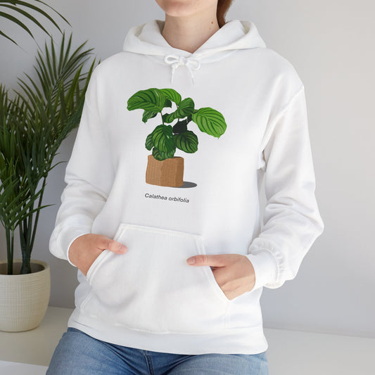 Calathea Orbifolia Plant Hoodie - White