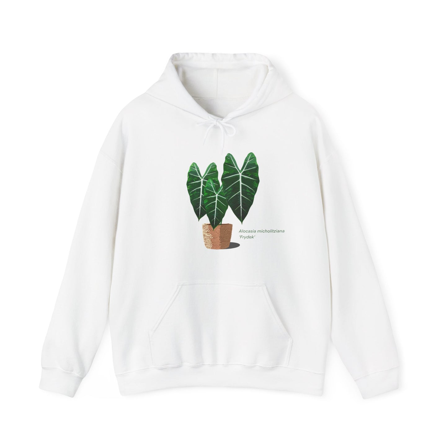 Alocasia Micholitziana 'Frydek' Plant Hoodie