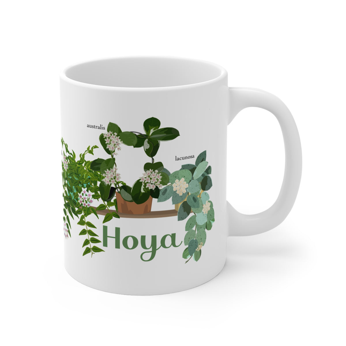 Hoya Lacunosa, Bella, & Australis Trio Plant Lover Mug - White