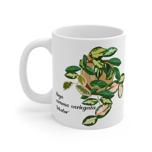 Hoya Carnosa Variegata Tricolor Plant Lover Mug - White