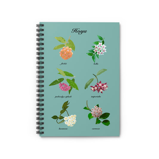 Hoyas in Bloom spiral notebook with ruled line paper. Great for writing down plant wish list, new ideas, to do list, shopping list and journal.  Perfect gift for plant lovers.