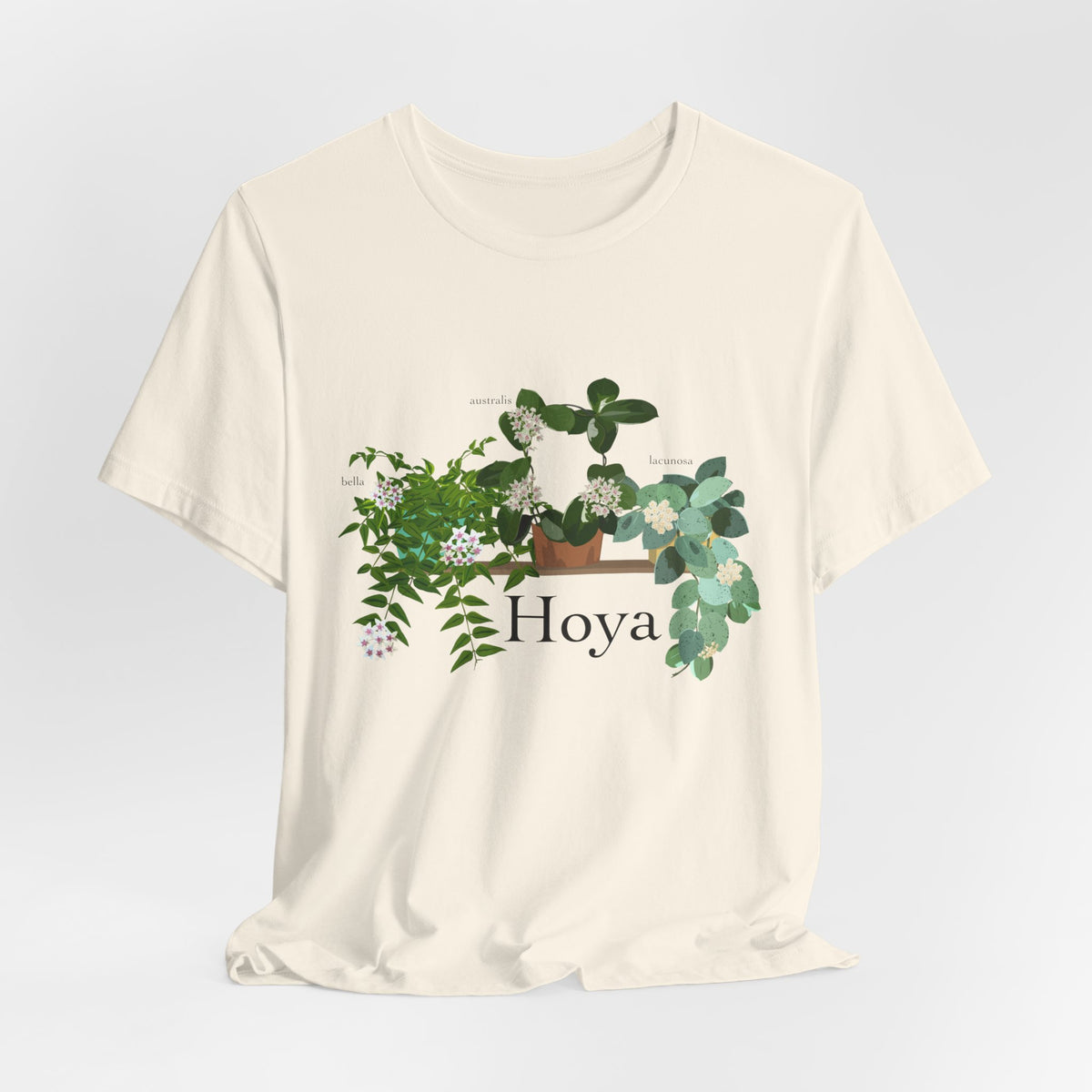 Hoya Lacunosa, Bella, & Australis Trio T-Shirt for Plant Lovers - White, Natural