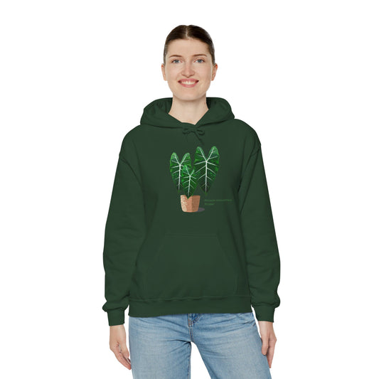 Alocasia Micholitziana 'Frydek' Plant Hoodie