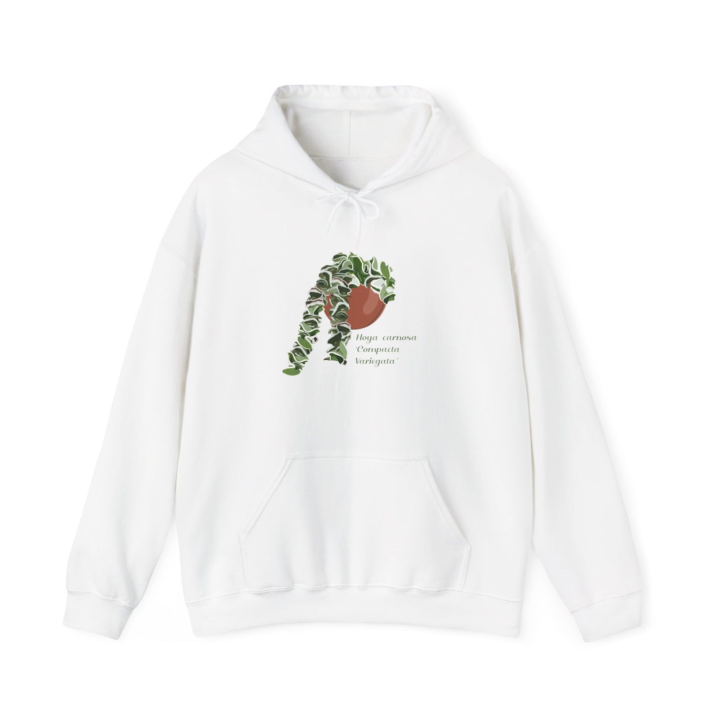 Hoya Carnosa 'Compacta Variegata' Hindu Rope Hoodie