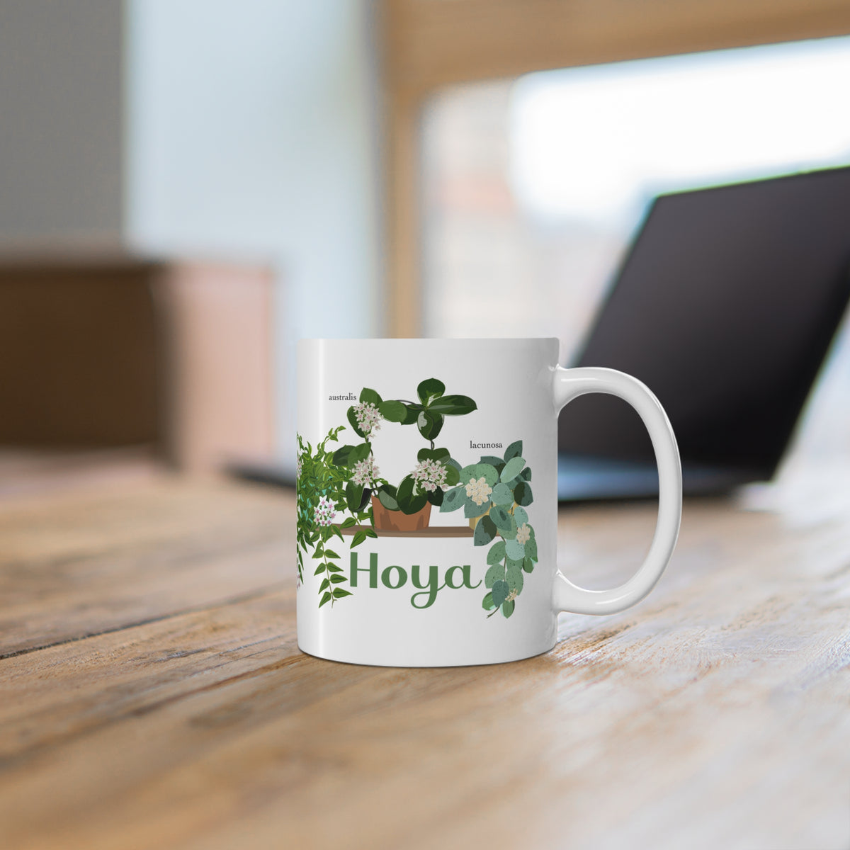Hoya Lacunosa, Bella, & Australis Trio Plant Lover Mug - White