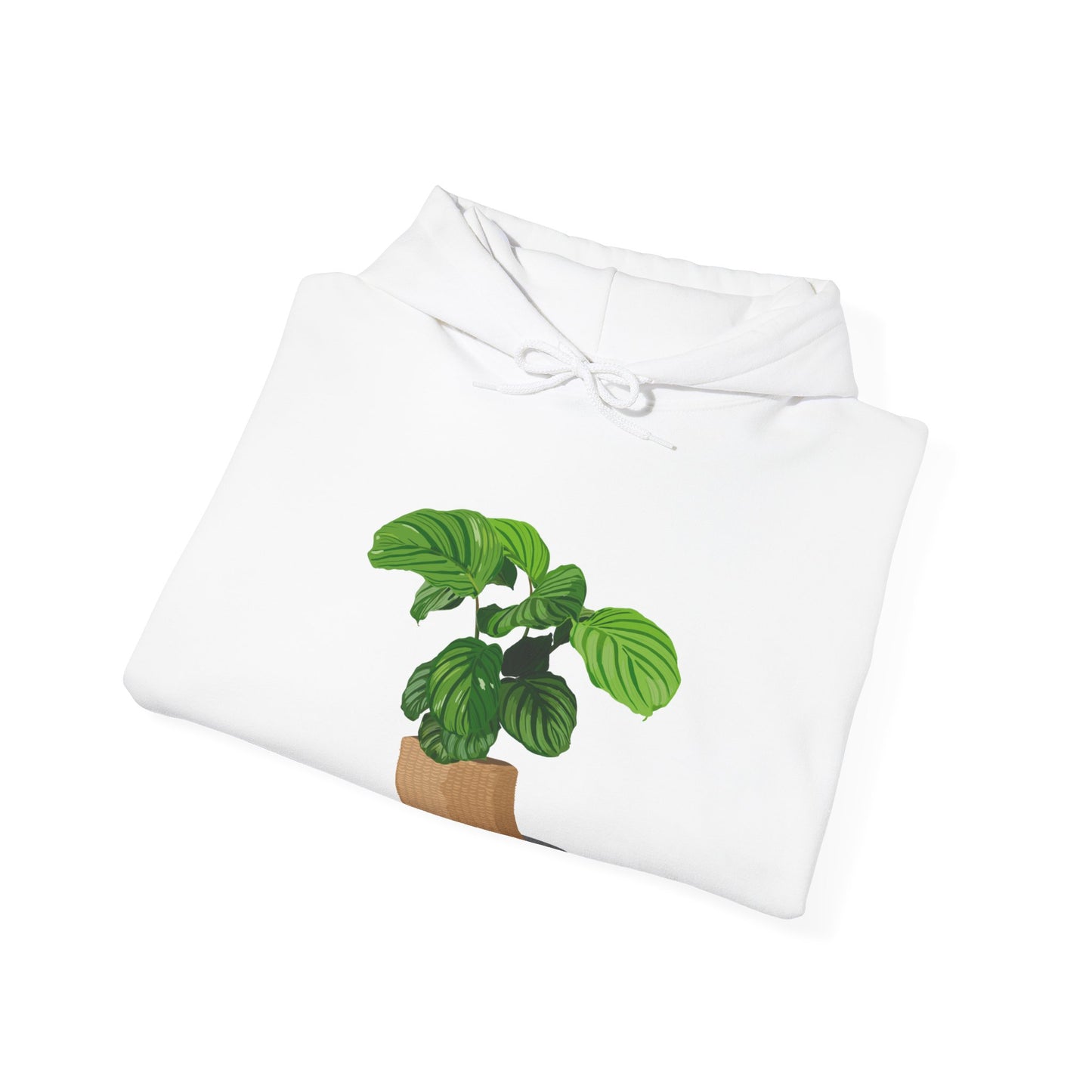 Calathea Orbifolia Plant Hoodie