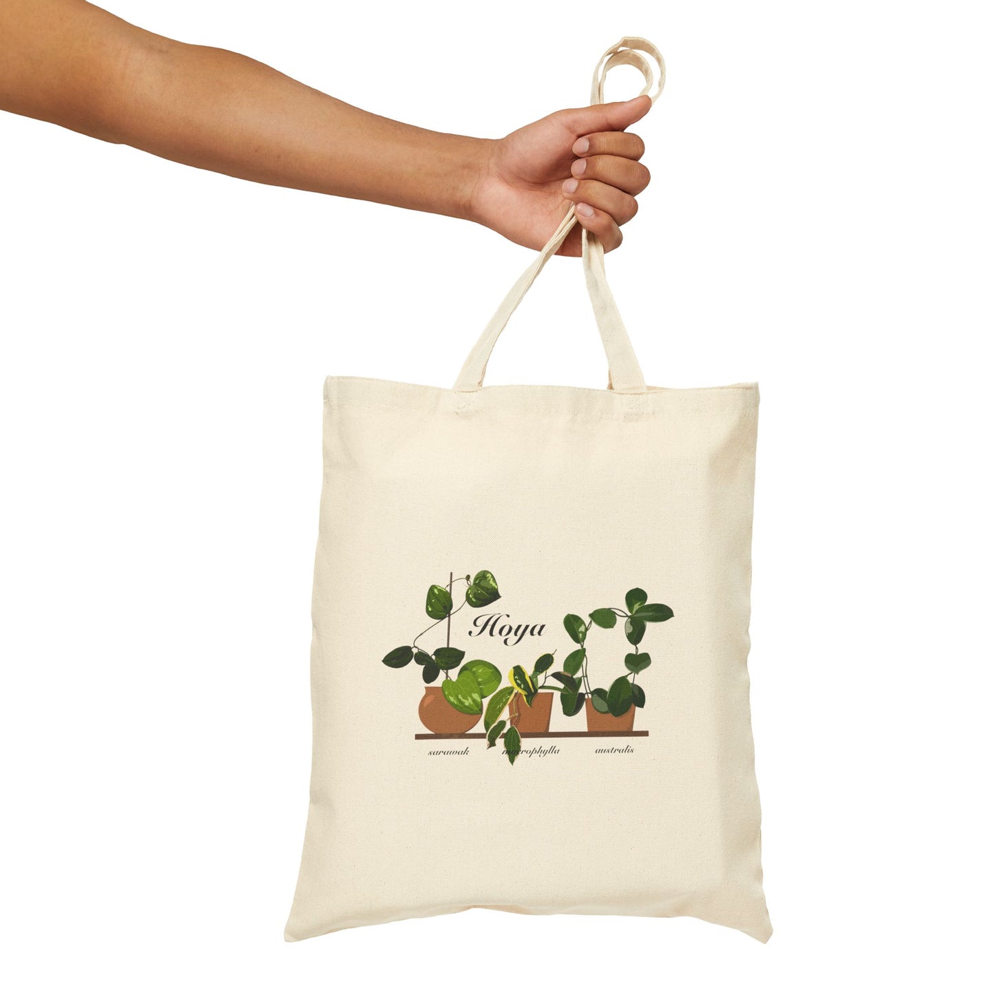 Hoya Sarawak, Macrophylla and Australis Trio Canvas Tote Bag