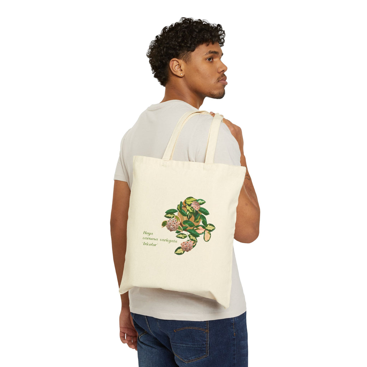 Blooming Carnosa Variegata 'Tricolor' Canvas Tote Bag | Potted Houseplant Illustration, Plant Lover Tote