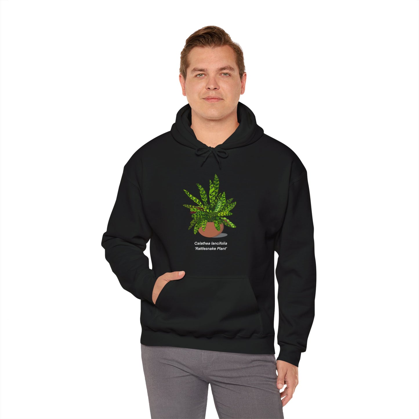 Calathea Lancifolia Rattlesnake Plant Hoodie - Black