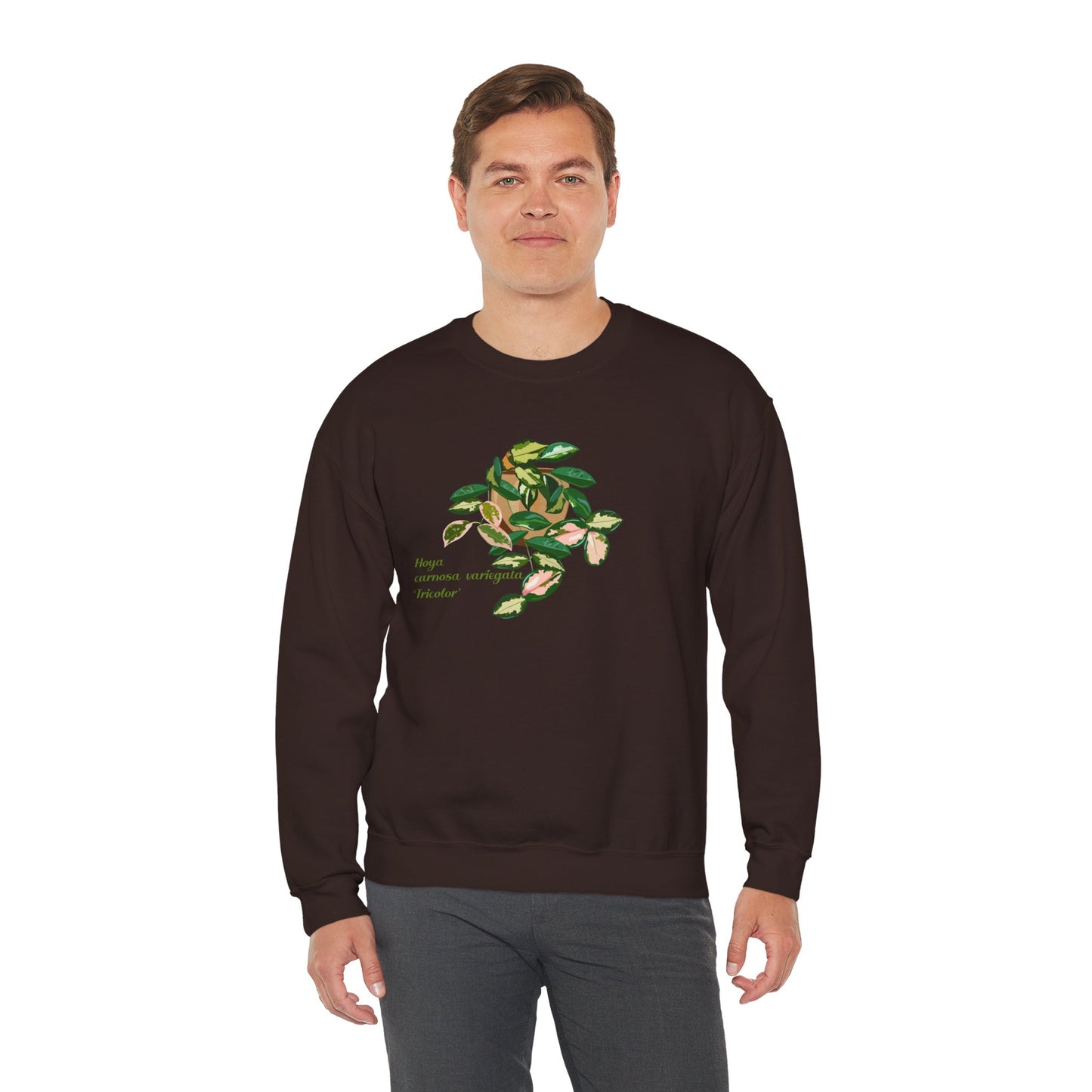 Hoya Carnosa Variegata Tricolor Plant Lover Crewneck Sweatshirt
