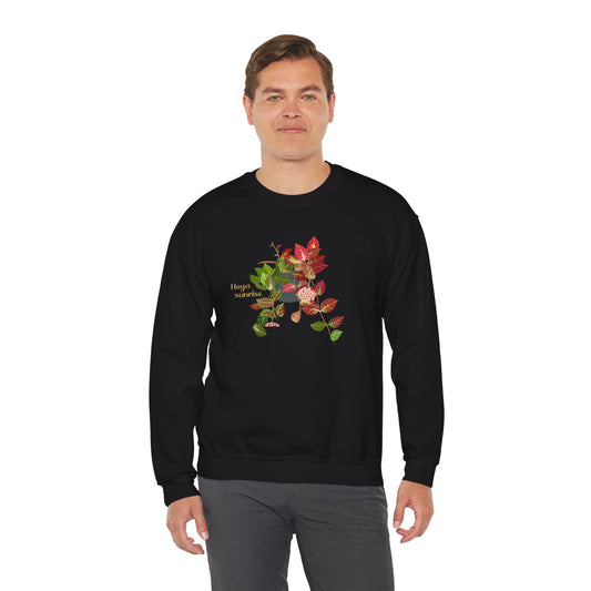 Hoya Sunrise Plant Lover Crewneck Sweatshirt - Black