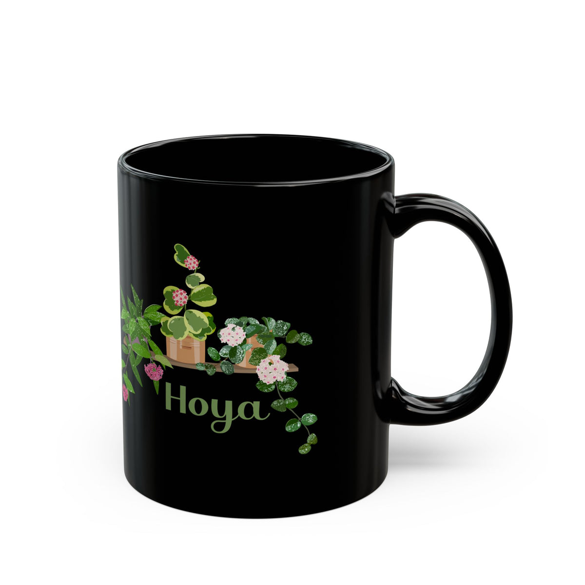 Hoya Mathilde Splash, Kerii Variegata, & Publicalyx Splash Trio Plant Lover Mug - Black