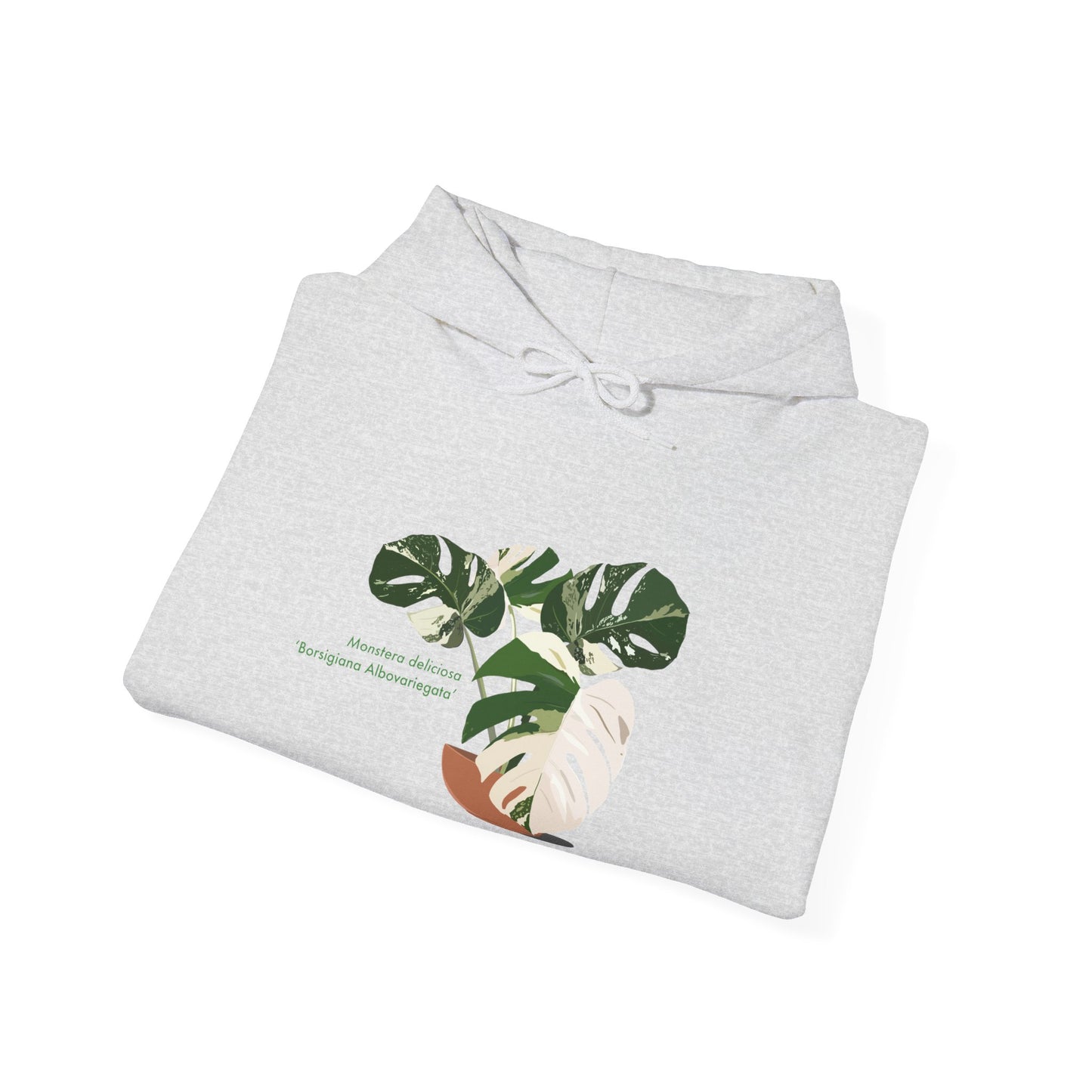 Monstera Deliciosa Borsigiana Albovariegata Hoodie