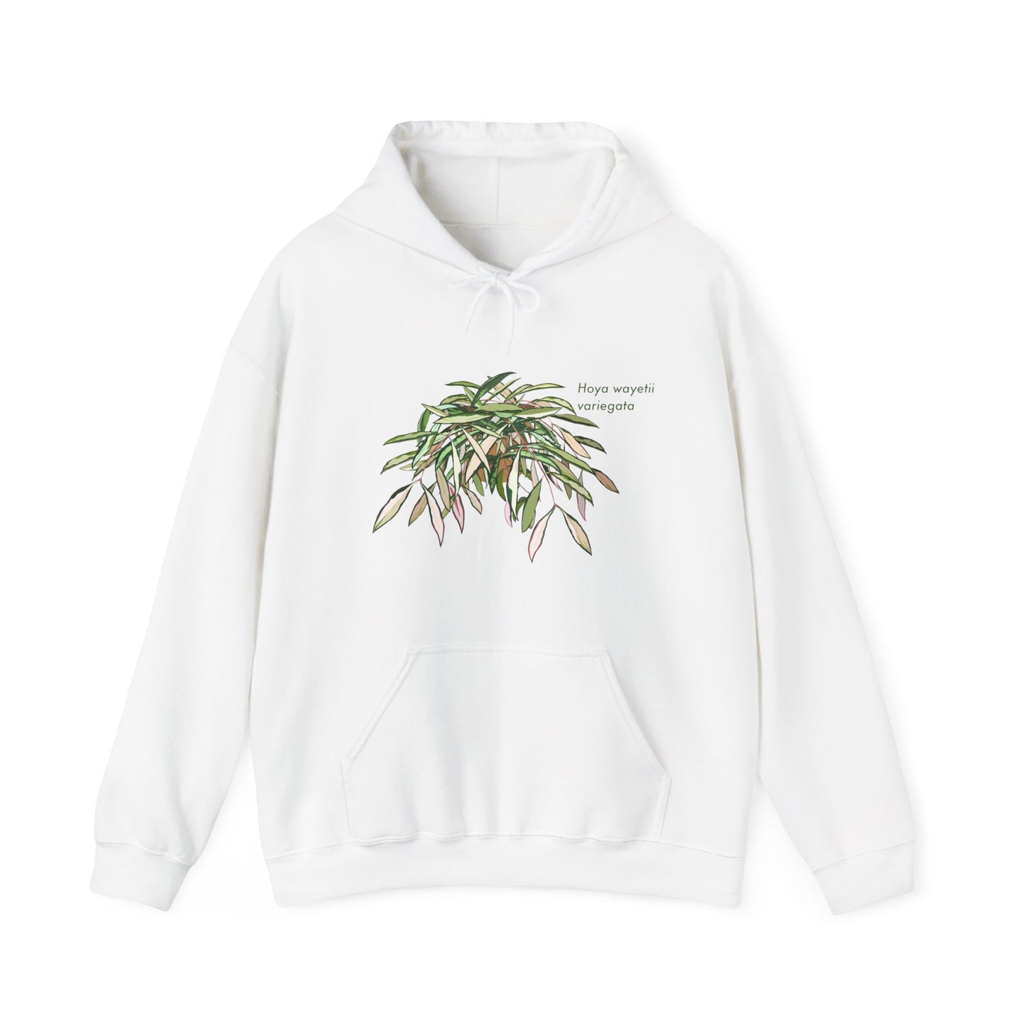 Hoya Wayetii Variegata Plant Hoodie