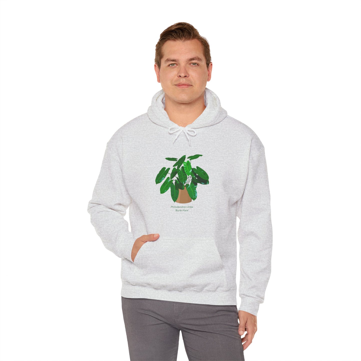 Philodendron Imbe 'Burle Marx' Plant Hoodie