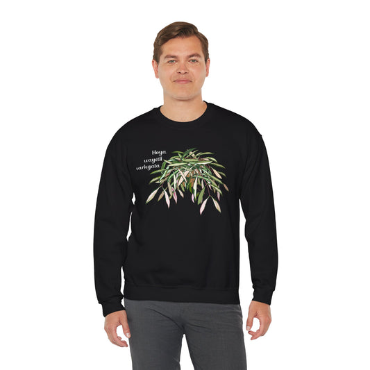 Hoya Wayetii Variegata Plant Lover Crewneck Sweatshirt - Black