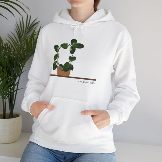 Hoya Australis Plant Hoodie - White