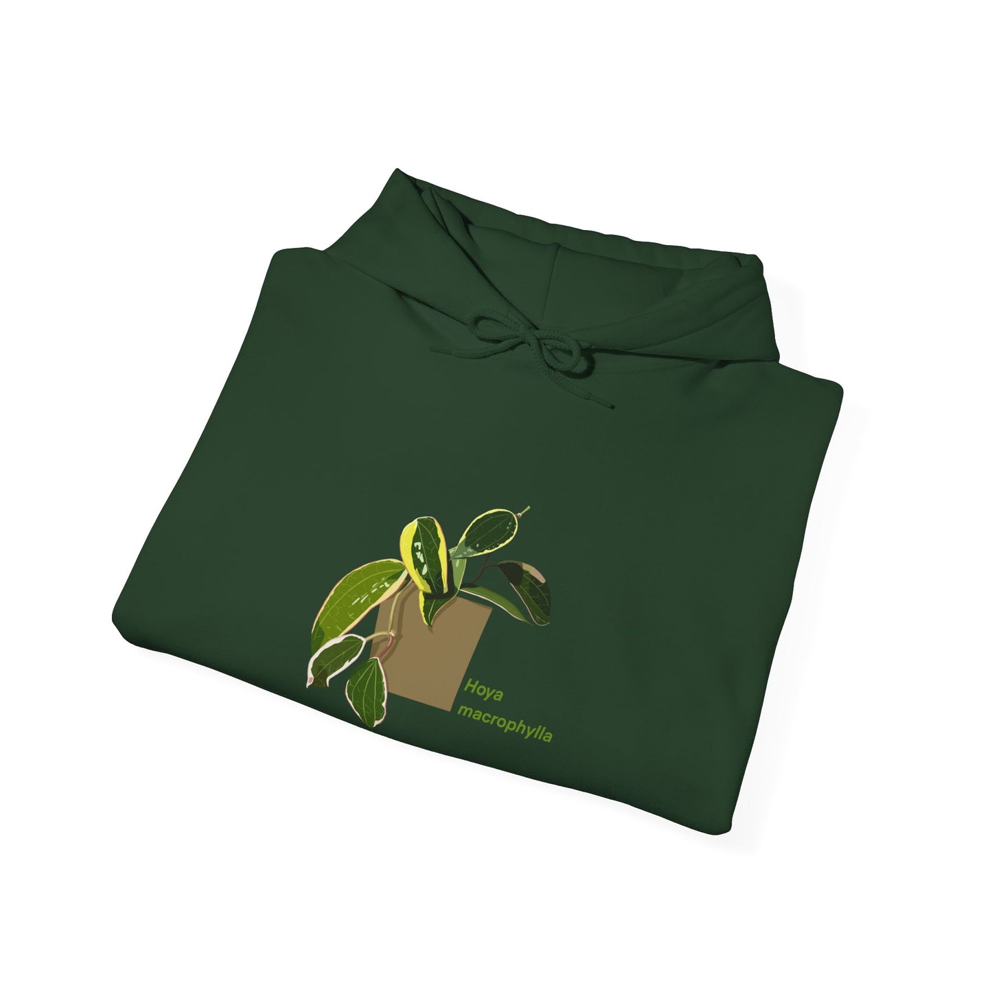 Hoya Macrophylla Plant Hoodie
