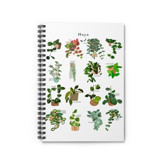 Hoya Chart spiral notebook with ruled line paper. Great for writing down plant wish list, new ideas, to do list, shopping list and journal.  Perfect gift for plant lovers.