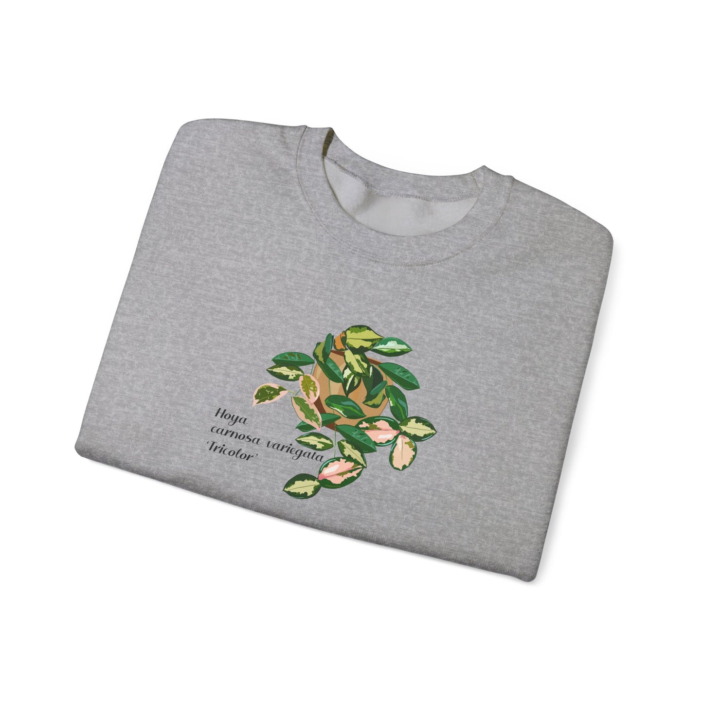 Hoya Carnosa Variegata Tricolor Plant Lover Crewneck Sweatshirt - Grey