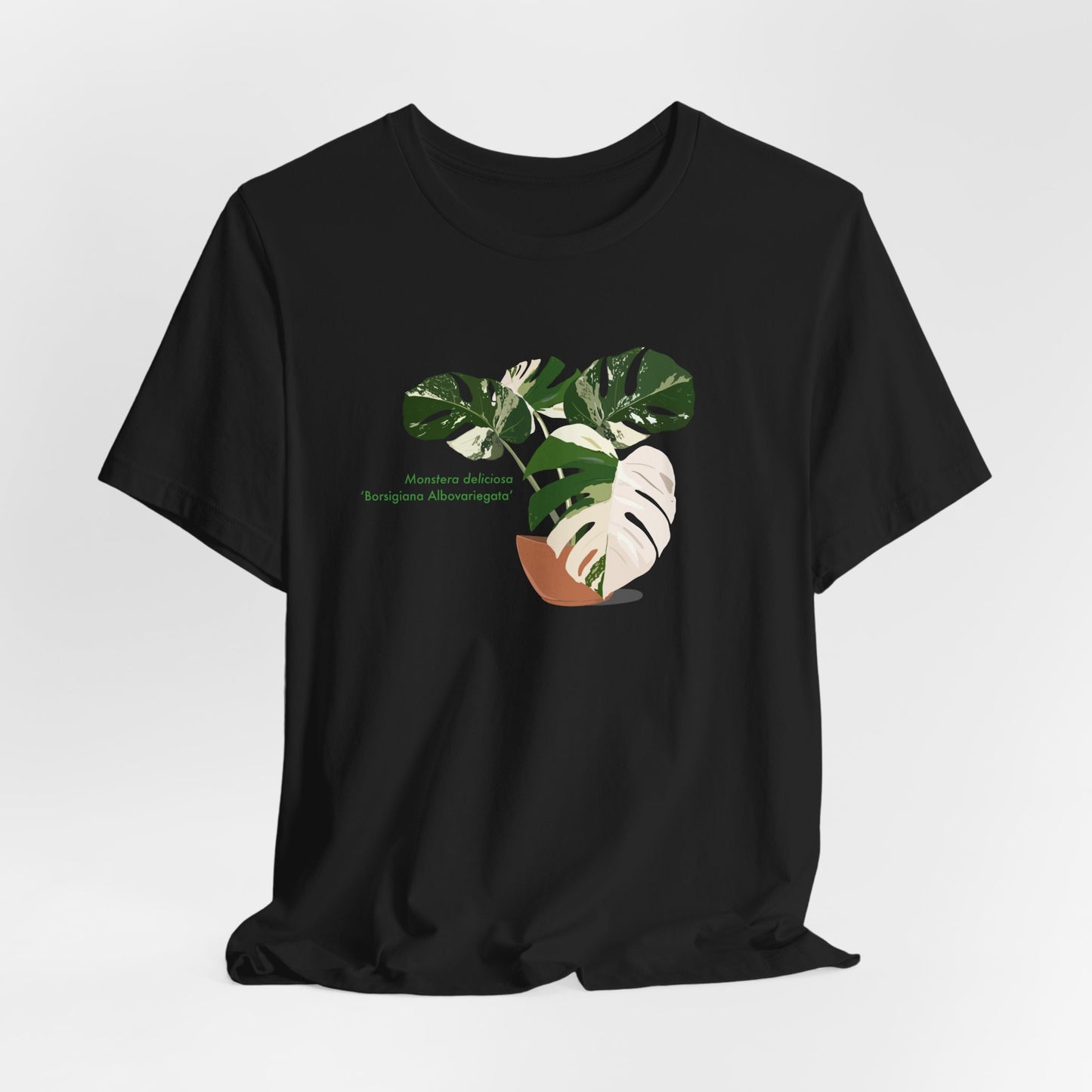 Monstera Deliciosa Borsigiana Albo Variegata Plant Lover T-Shirt - White, Natural, Black
