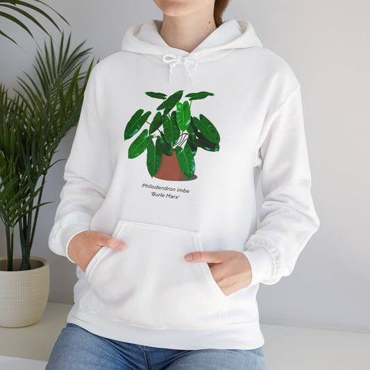 Philodendron Imbe 'Burle Marx' Plant Hoodie - White