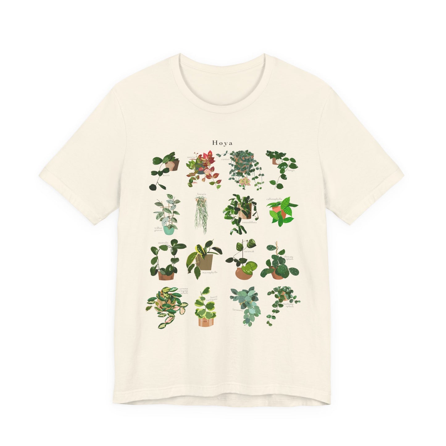 Hoya Chart T-Shirt for Plant Lovers - White, Natural